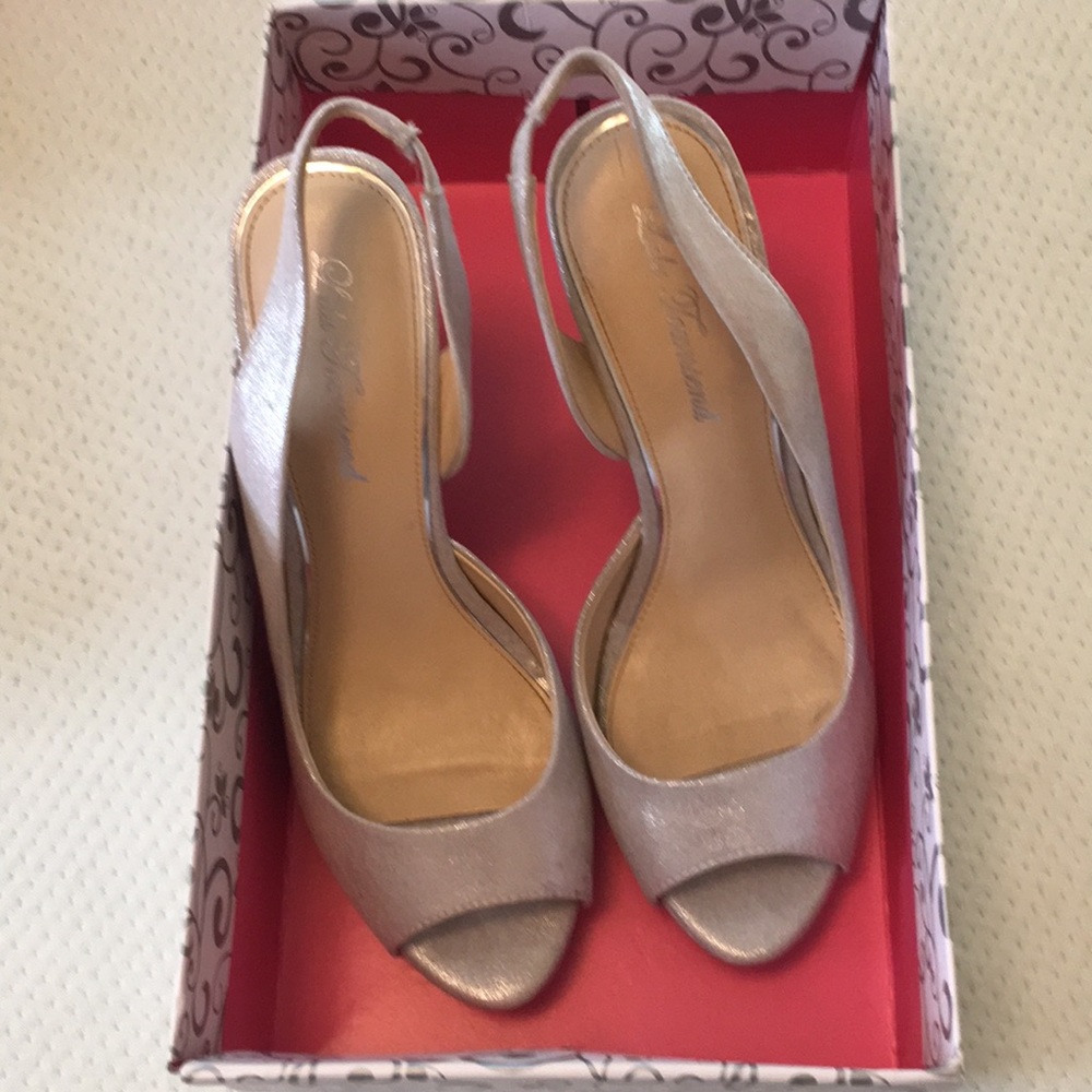 Sexy Silver Heels